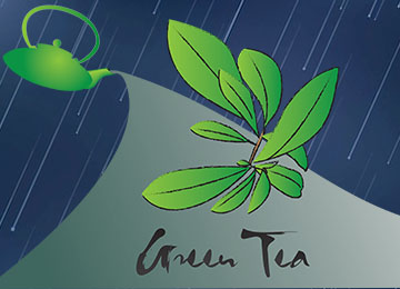 Logo Design 4